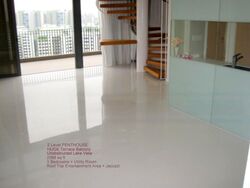 The Lakefront Residences (D22), Condominium #490536891